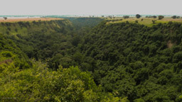 die   Kyambura Schlucht ist  16 km lang,  400 m breit  und  ca. 100 m  tief