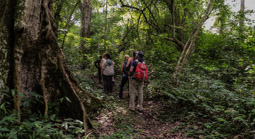 Schimpansen-Trekking