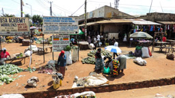 LUWEERO -  Central Region