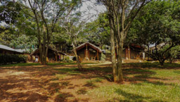 Adrift Riverbase Camp in Jinja